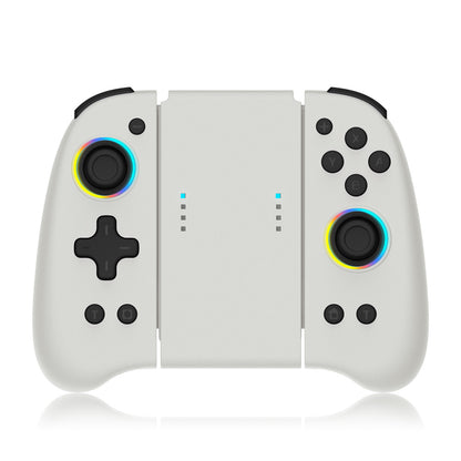 Nintendo Switch Controller and Handle-