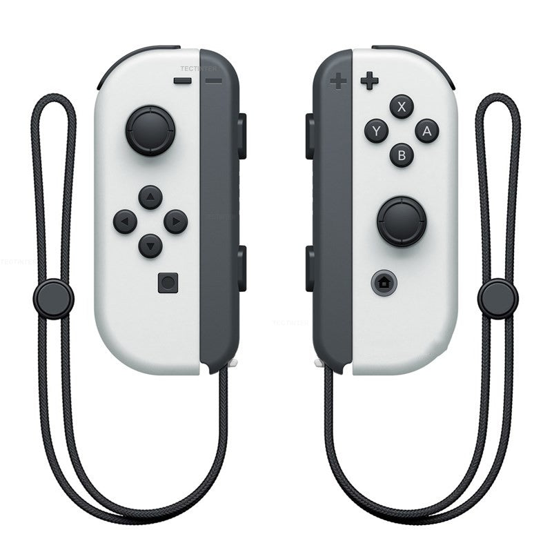 Nintendo Switch Controller, Dual Controllers with Hand Rope-