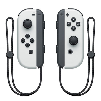 Nintendo Switch Controller, Dual Controllers with Hand Rope-